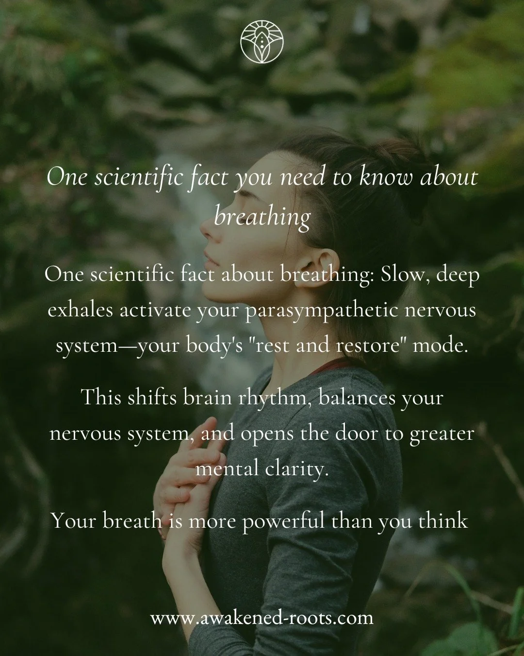 The science is simple: slow, deep breathing activates your parasympathetic nervous system&mdash;your body's natural &quot;rest and restore&quot; mode.

Translation: The way you breathe shapes your brain rhythm, nervous system balance, and mental clar