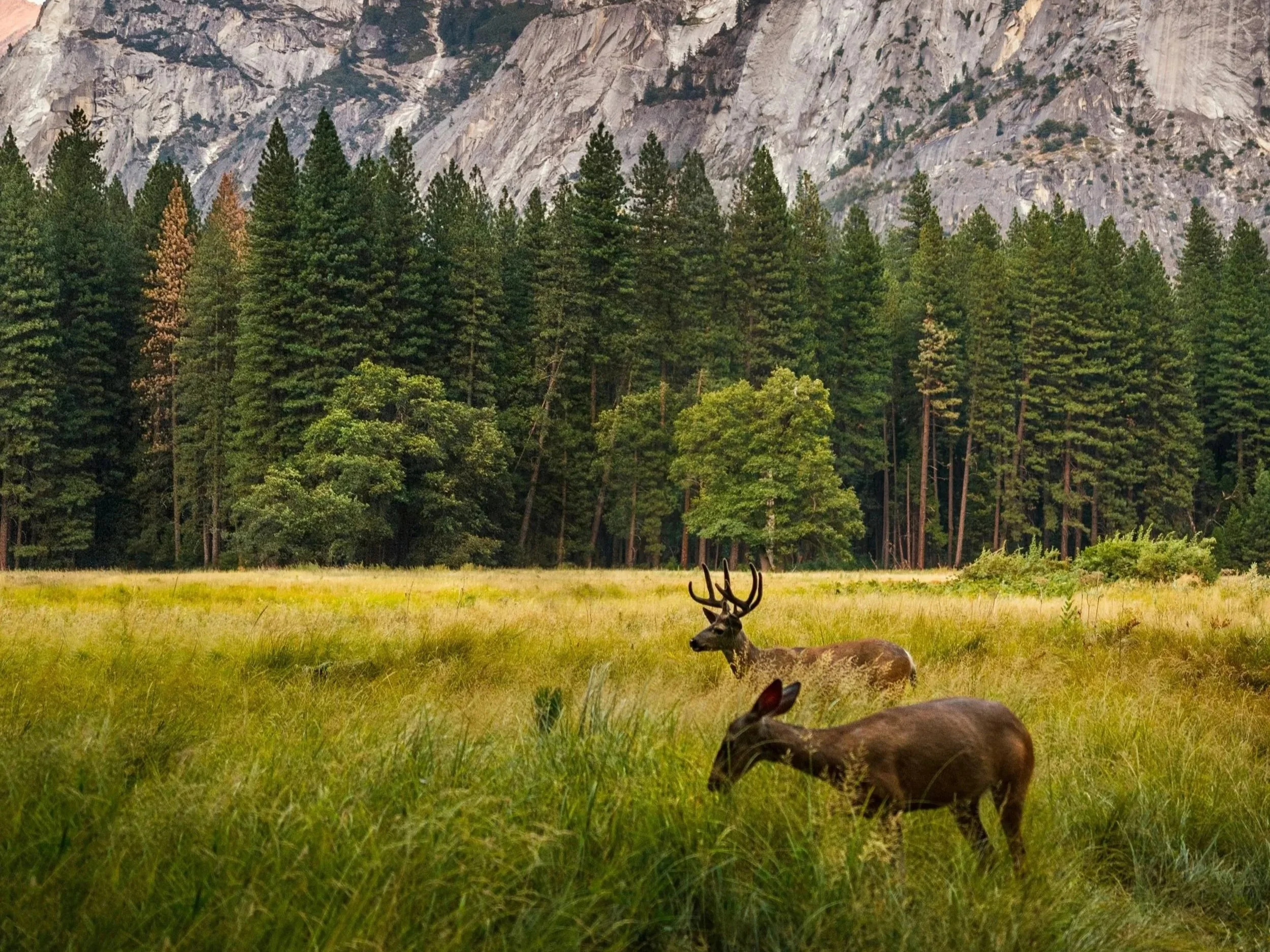 March 18th: ONLINE Breathwork with Greg