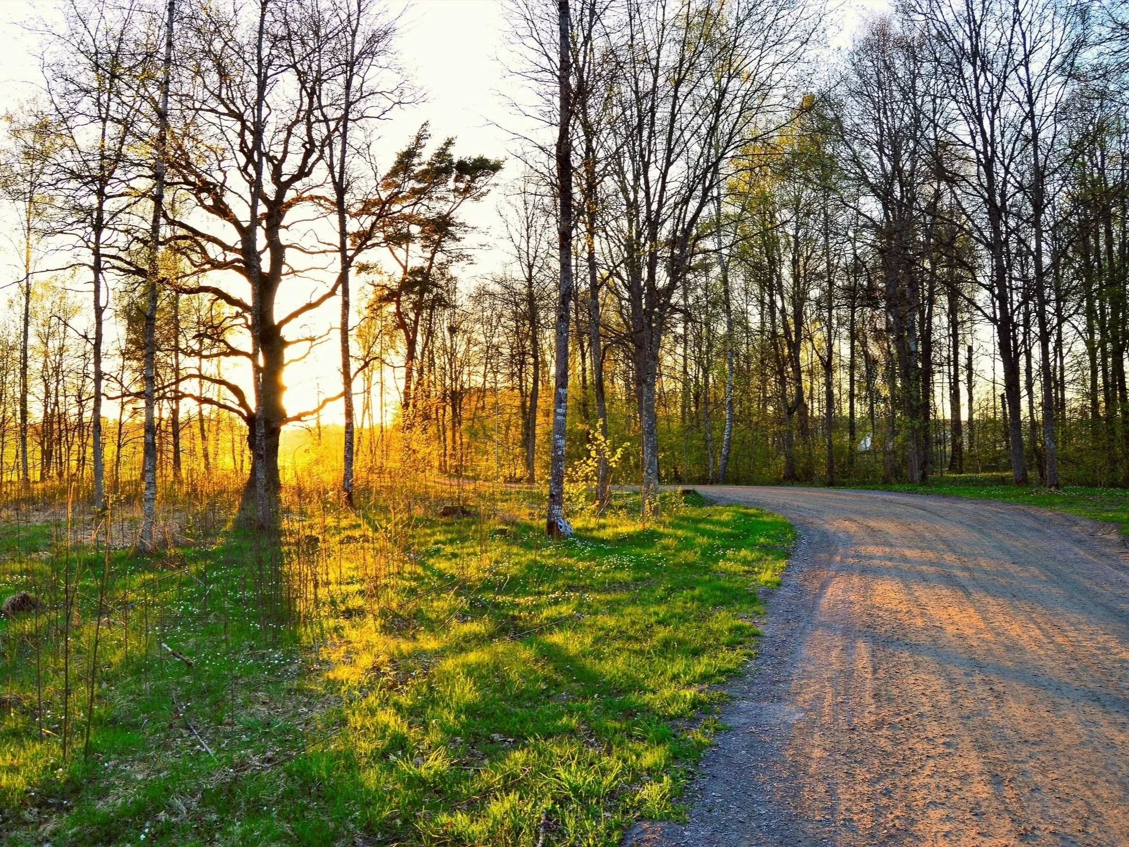 April 22nd, 2026 Virtual Breathwork Experience