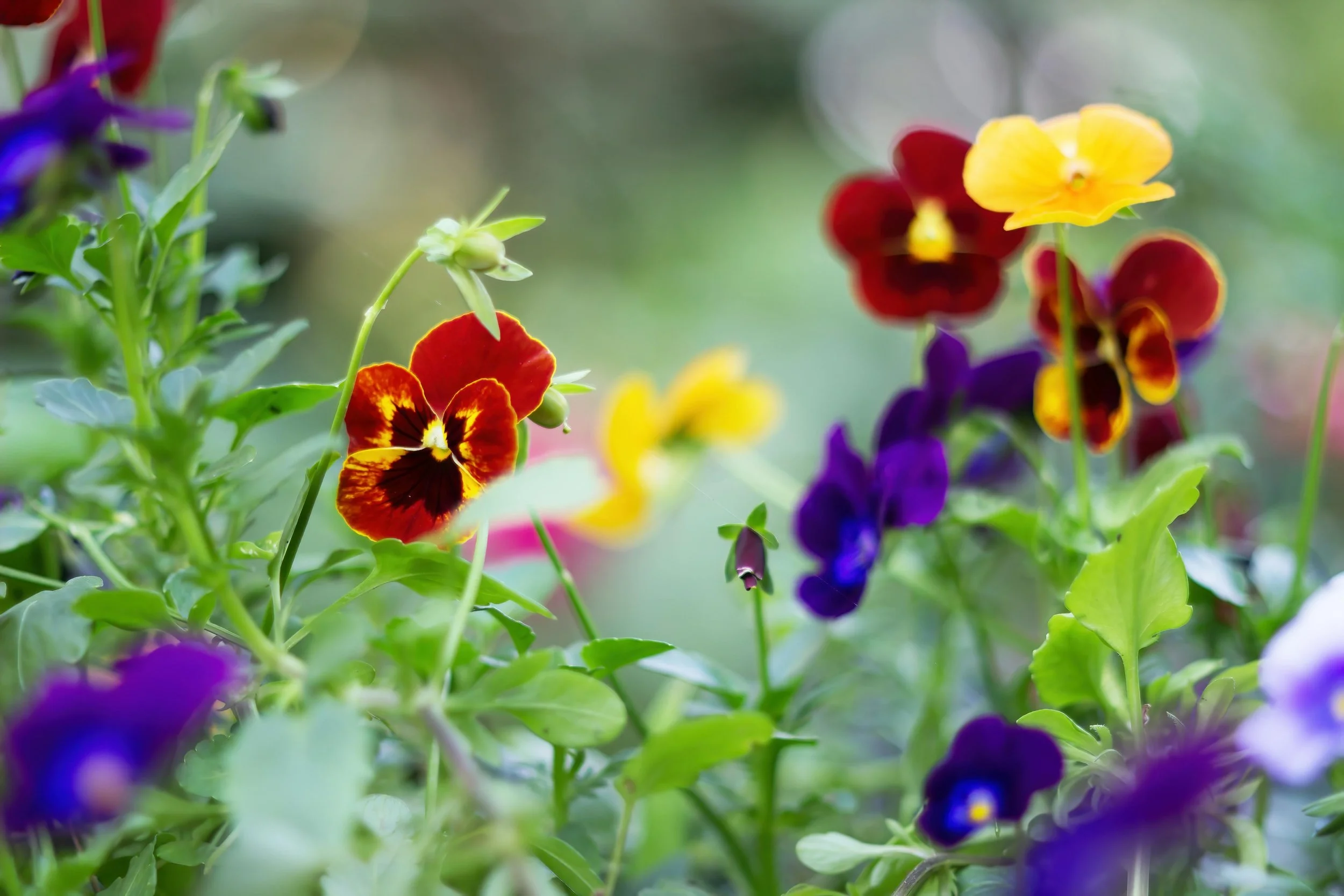 May 27th: ONLINE Breathwork with Greg