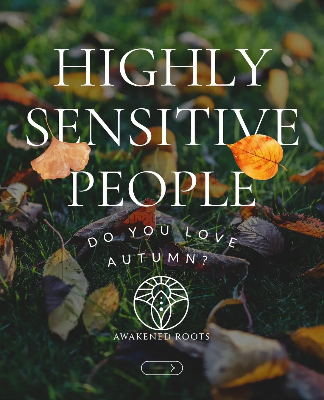 Highly Sensitive People are already living life like it&rsquo;s an IMAX movie. 

Chlorine, fire ants, and scorching heat can be overwhelming, making summer feel like it may never end. 🔥 

Most HSPs and neurodivergent folk are what Greg likes to call