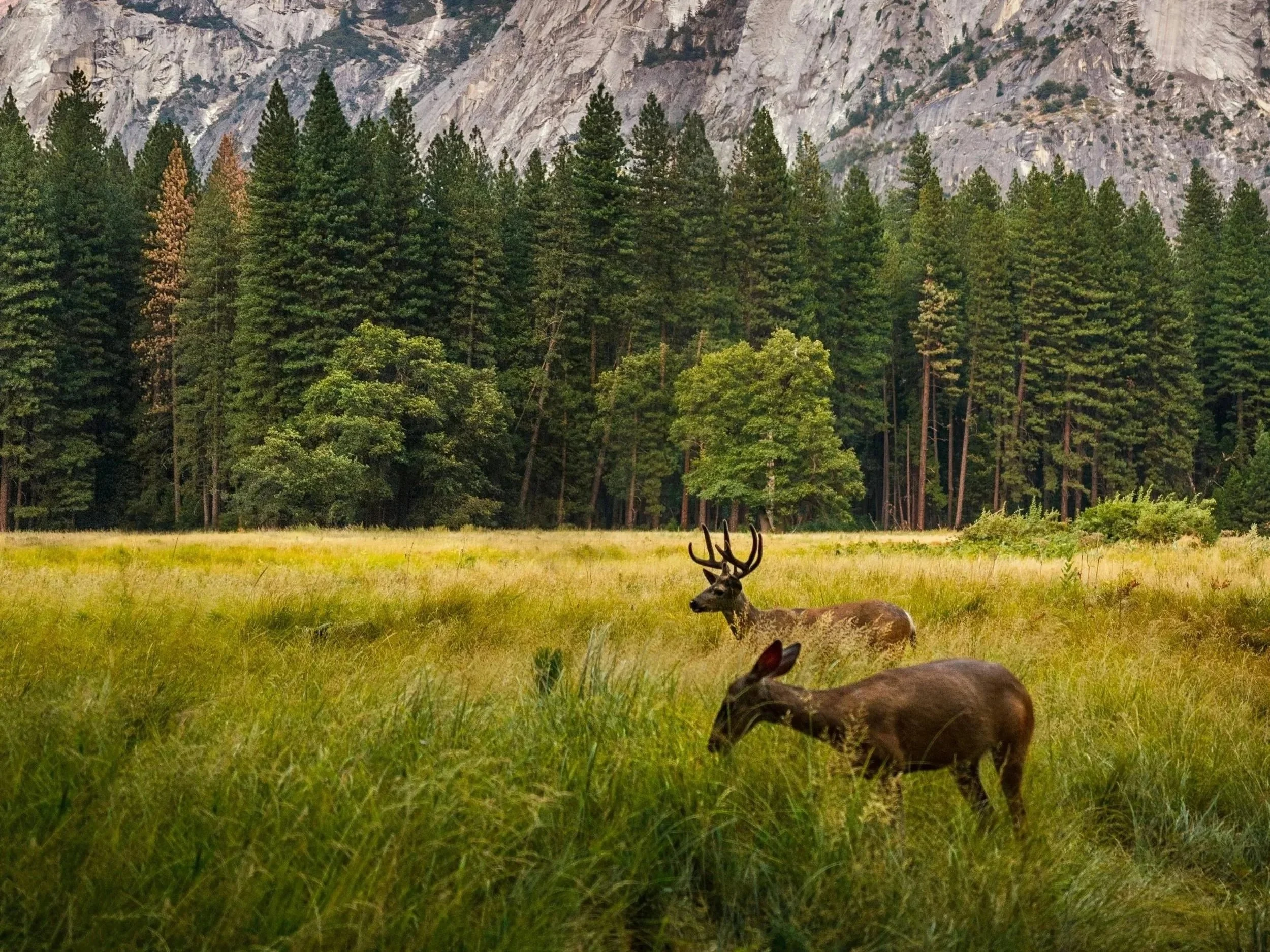 March 18th, 2026 Virtual Breathwork Experience