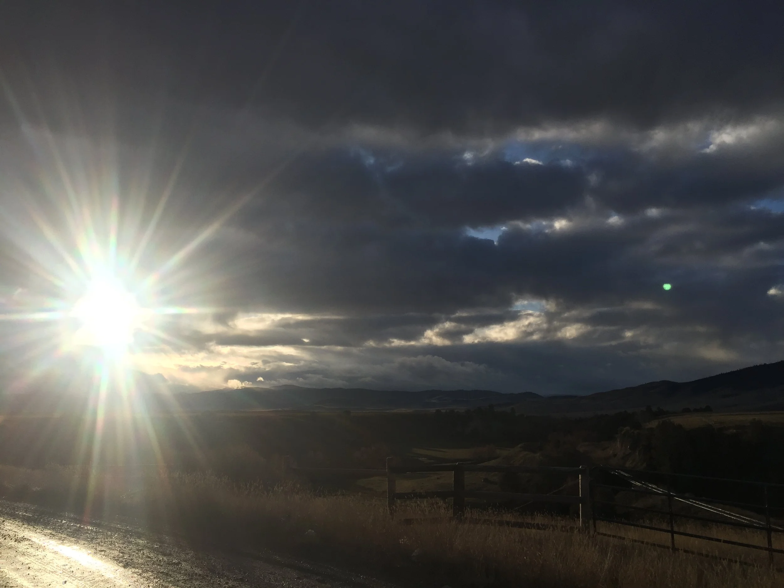 Shadow-seeking Yogurt