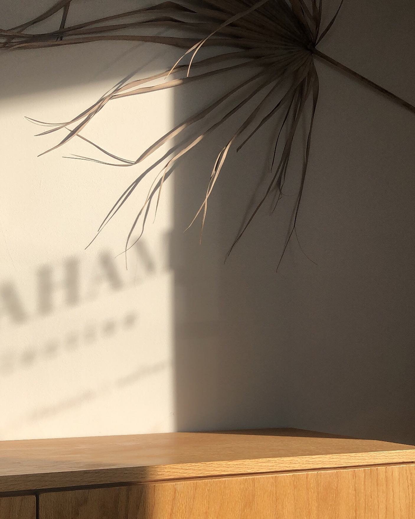 a lot of sweet + beautiful life changes have been unfolding lately, and as you&rsquo;ve probably noticed graham collective has taken a bit of a back seat during this season. i&rsquo;ve been reevaluating what i want to do with this space, how to move 