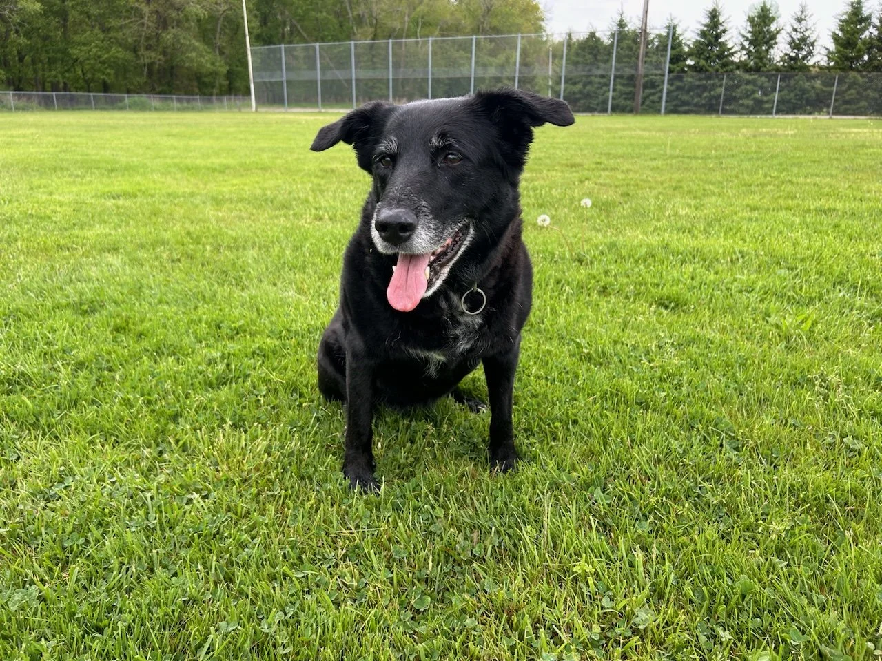 Tami Review - Lucy.jpg