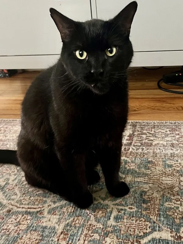 Susan Review - Jackson.jpg