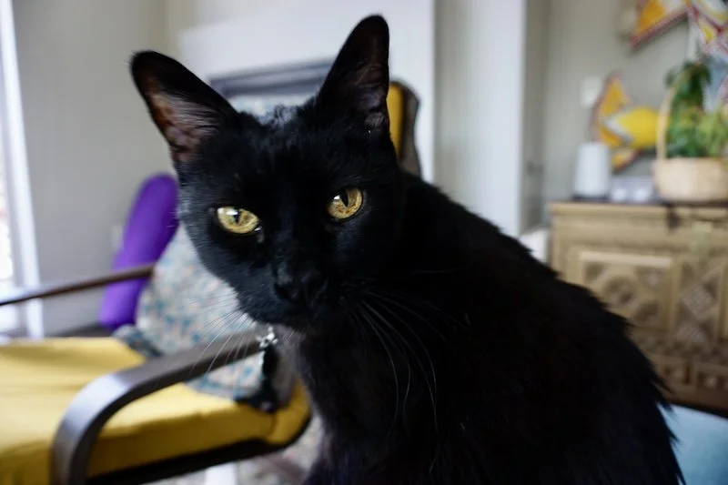 Erin Review - Diego.jpg