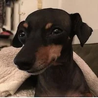 Jen Review - Vida 1.jpeg