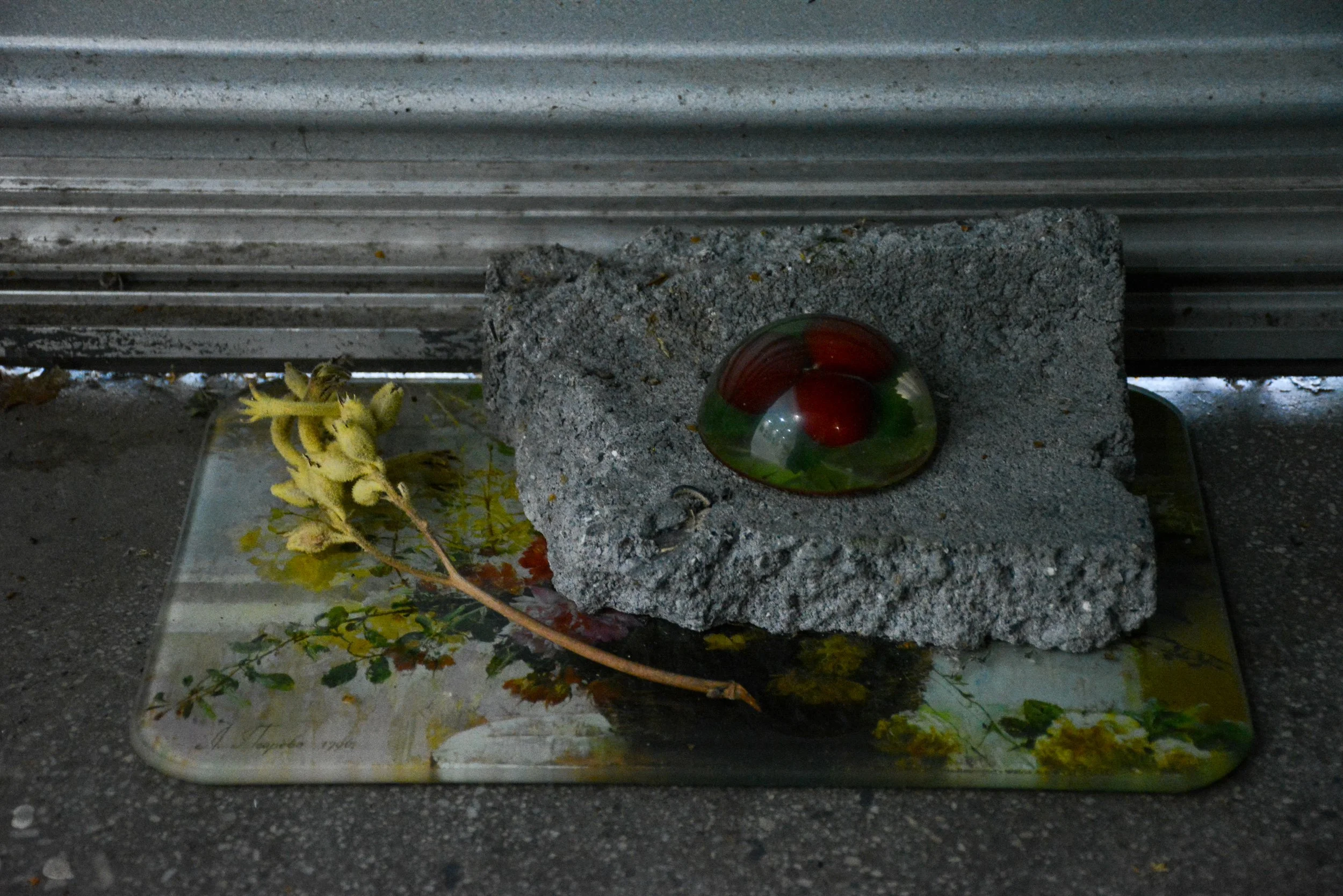DSC_7402.JPEG