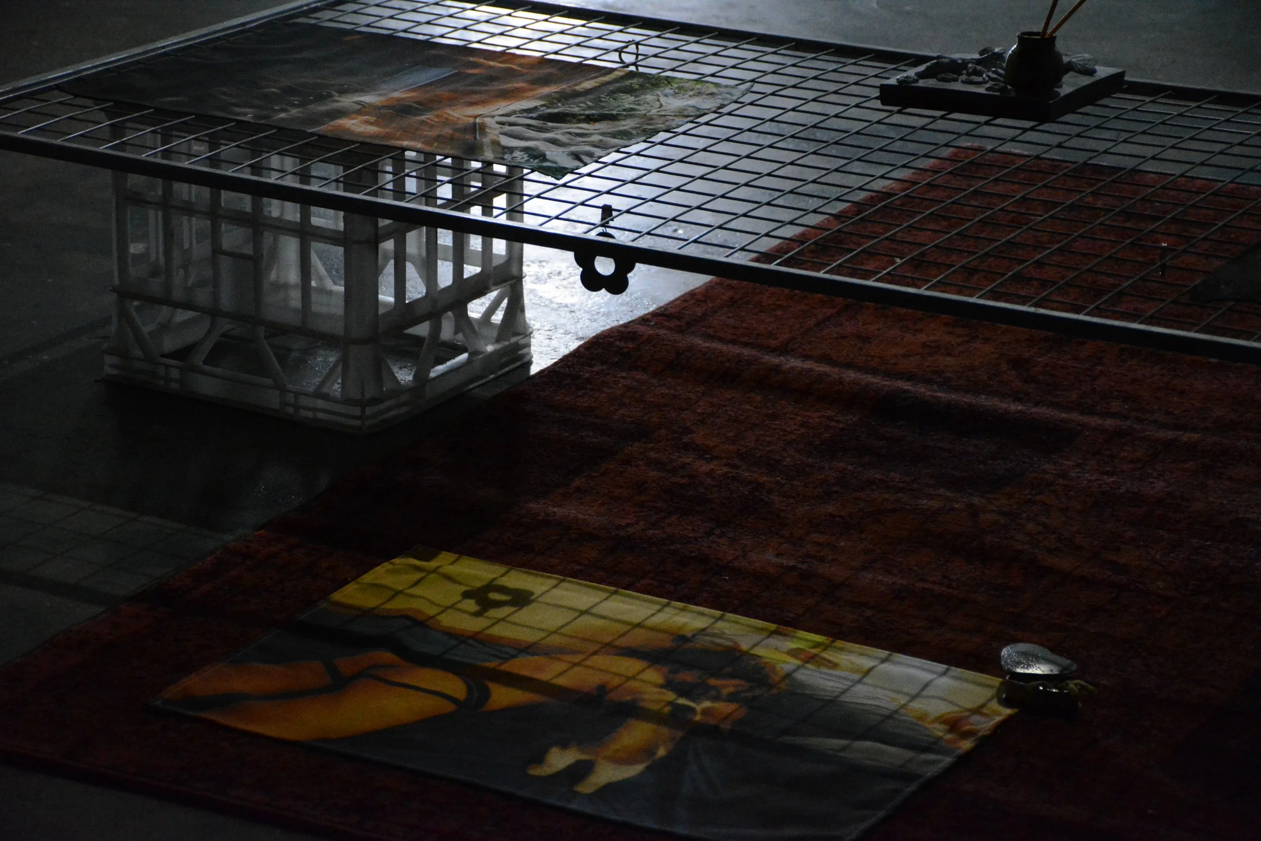 DSC_7351.JPEG