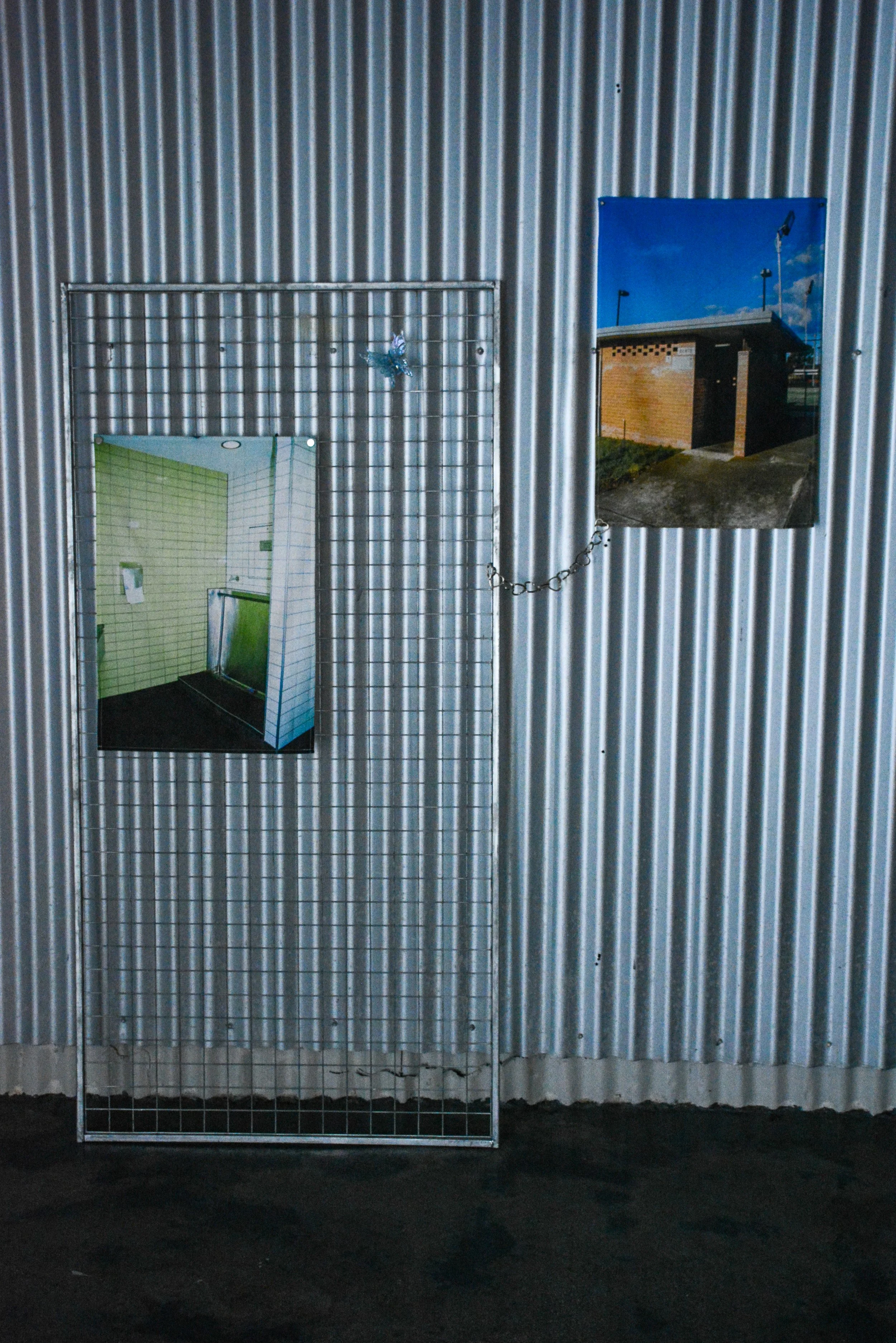 DSC_7389.JPEG