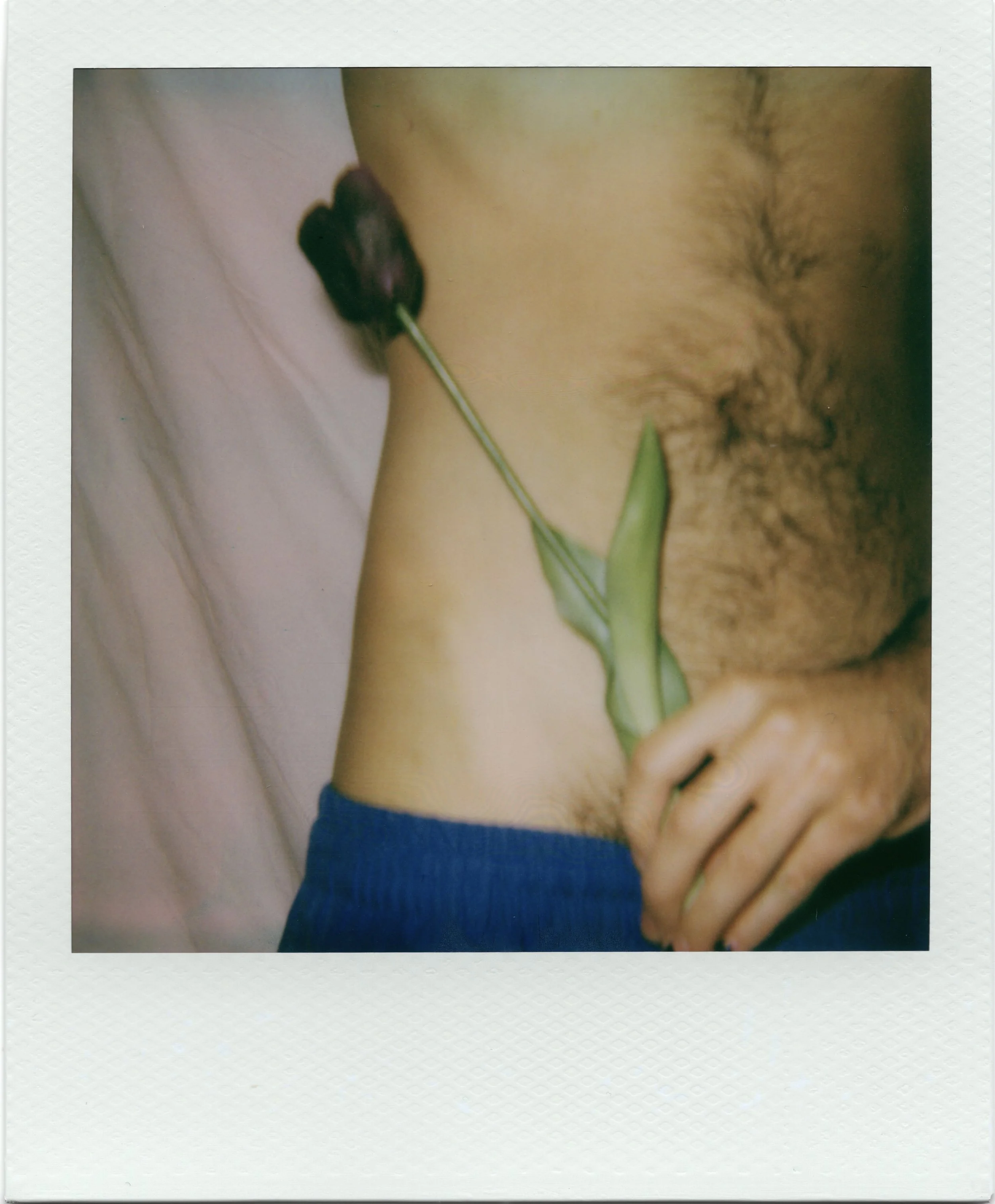 Plastic Tulip.jpg
