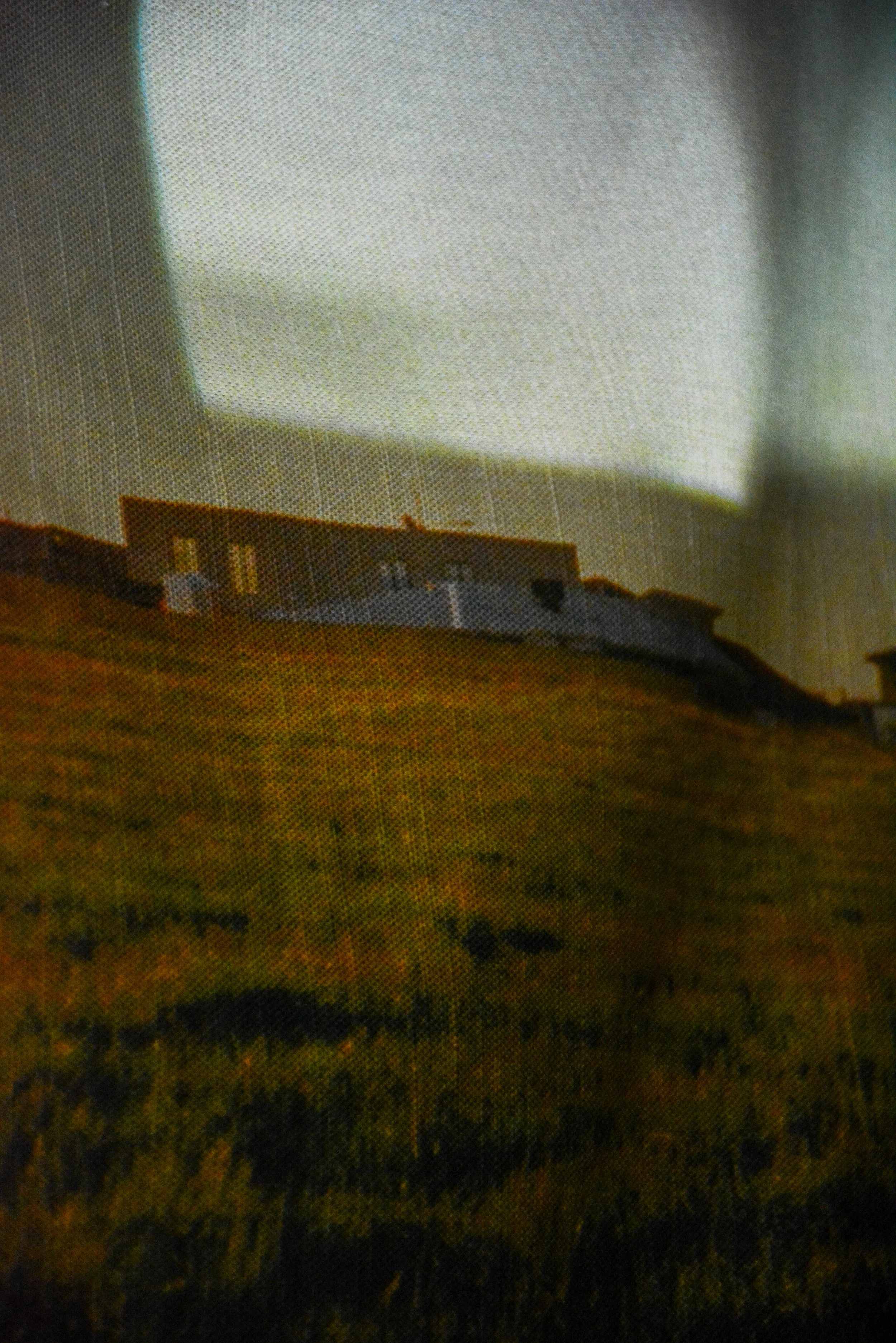 DSC_7412.JPEG