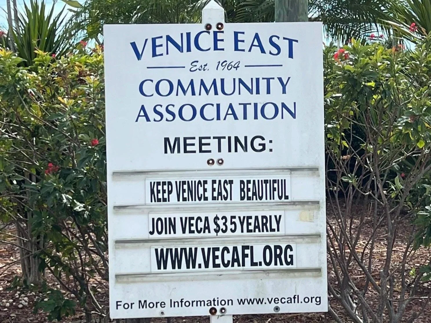 What VECA is - and isn’t 