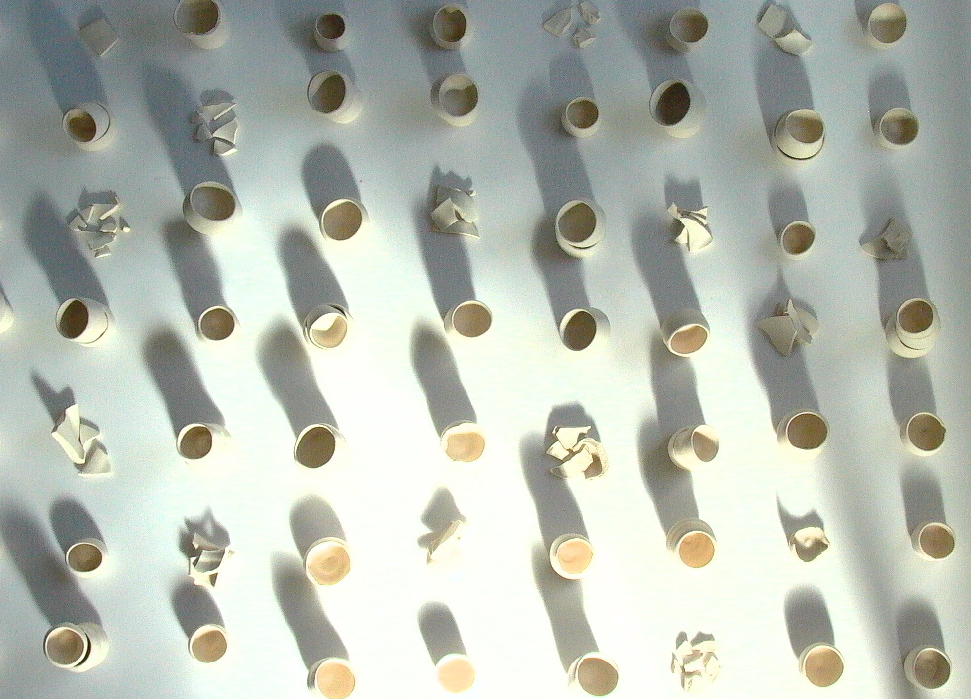 P1000731.jpg