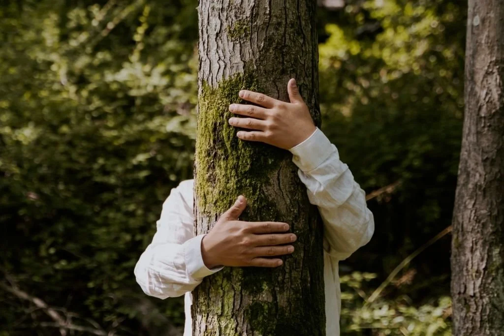 Hands hugging a tree