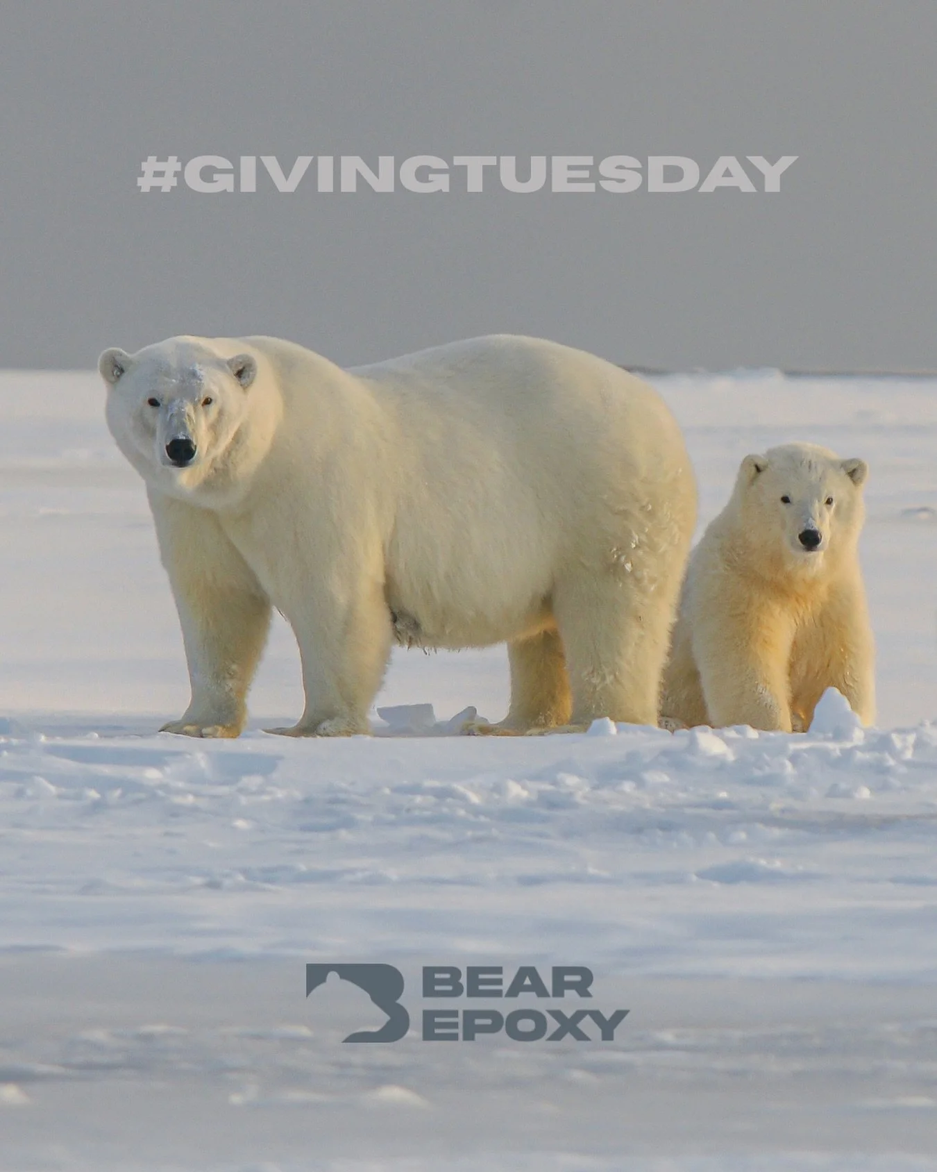 This #GivingTuesday, Bear Epoxy is proud to donate proceeds from every 2025 project to support polar bear conservation with @polarbearsinternational 🐻&zwj;❄️

A huge thank you to our amazing customers &mdash; your support makes this impact possible!