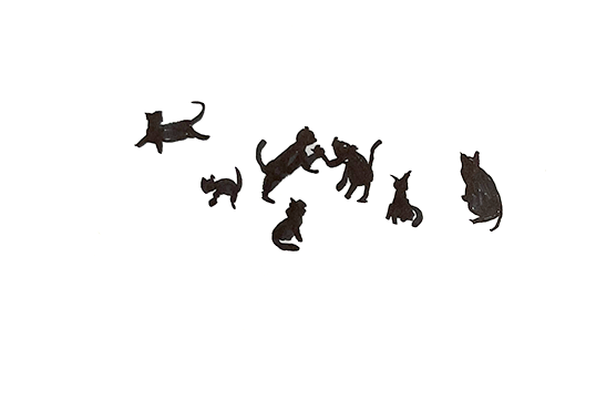 cats.png