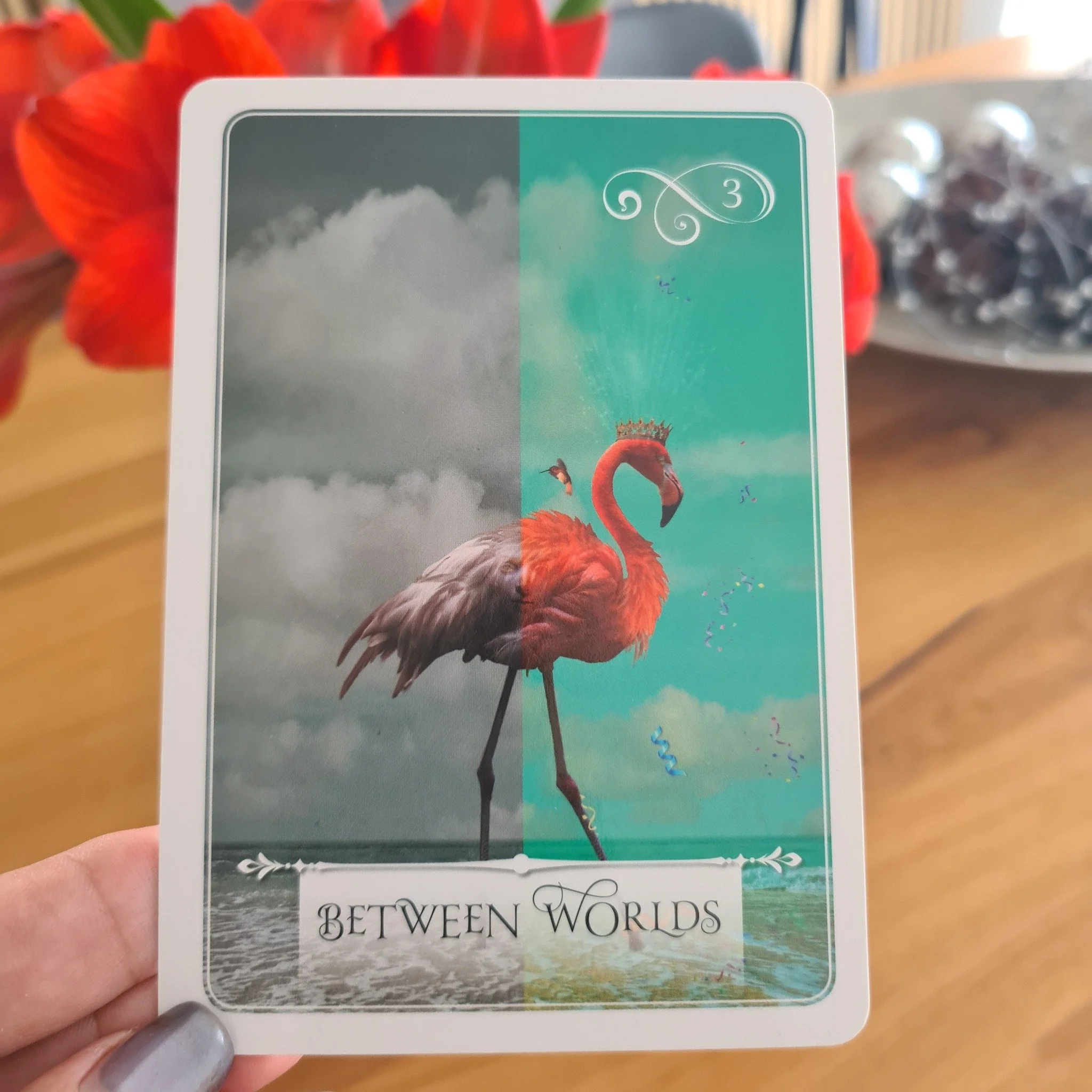 Tuesday Insight 🌊 ✨Card of the Day✨ It is a time of transitions. Even though we are here in spring, the 'new you' is still coming into form, and the hardest thing is not to force anything when we are in the in the space of in between. I heard someon