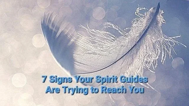 ✨7 Signs Your Spirit Guides Are Trying to Reach You 