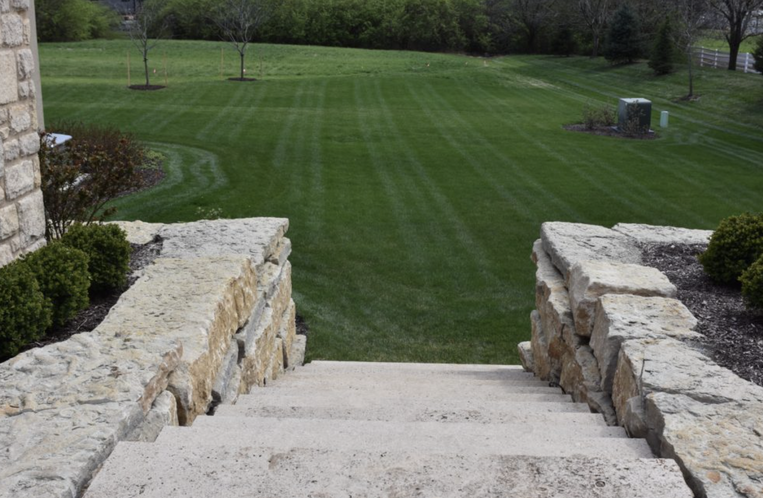 Screen Shot 2024-02-15 at 9.46.14 AM.png