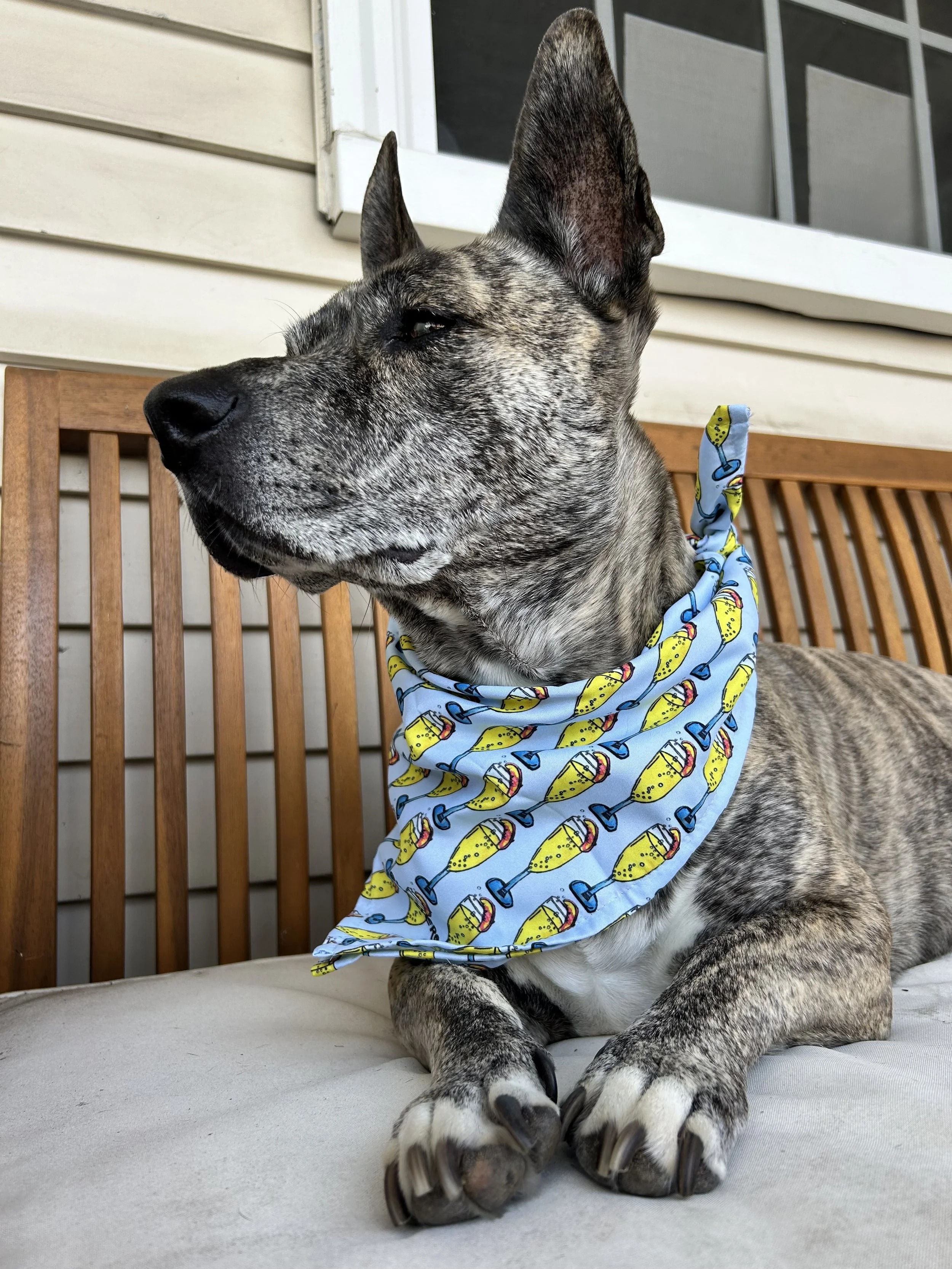 Brunch Mimosa Dog Bandana