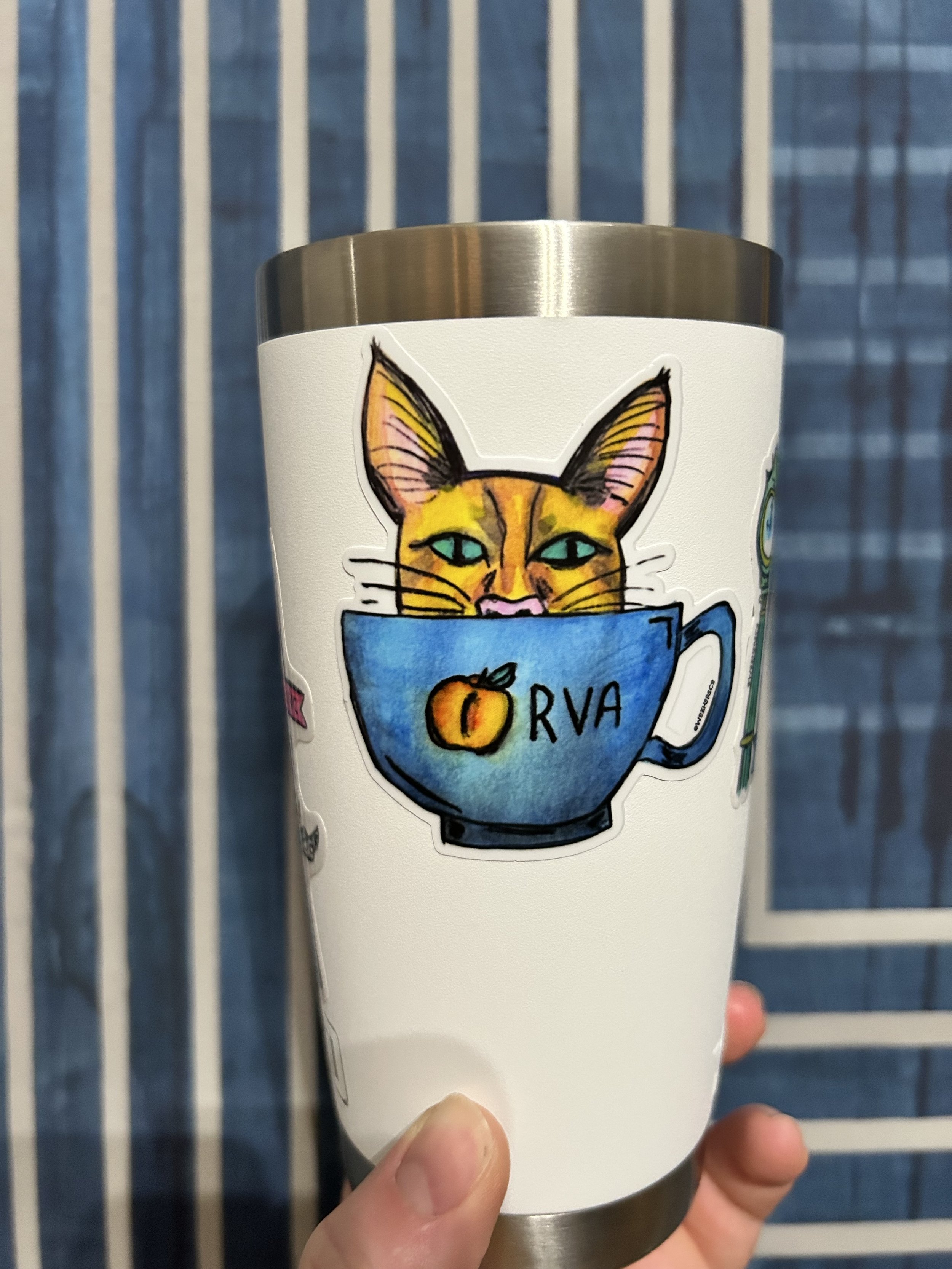 Orange cat sticker | Richmond Virginia cat sticker