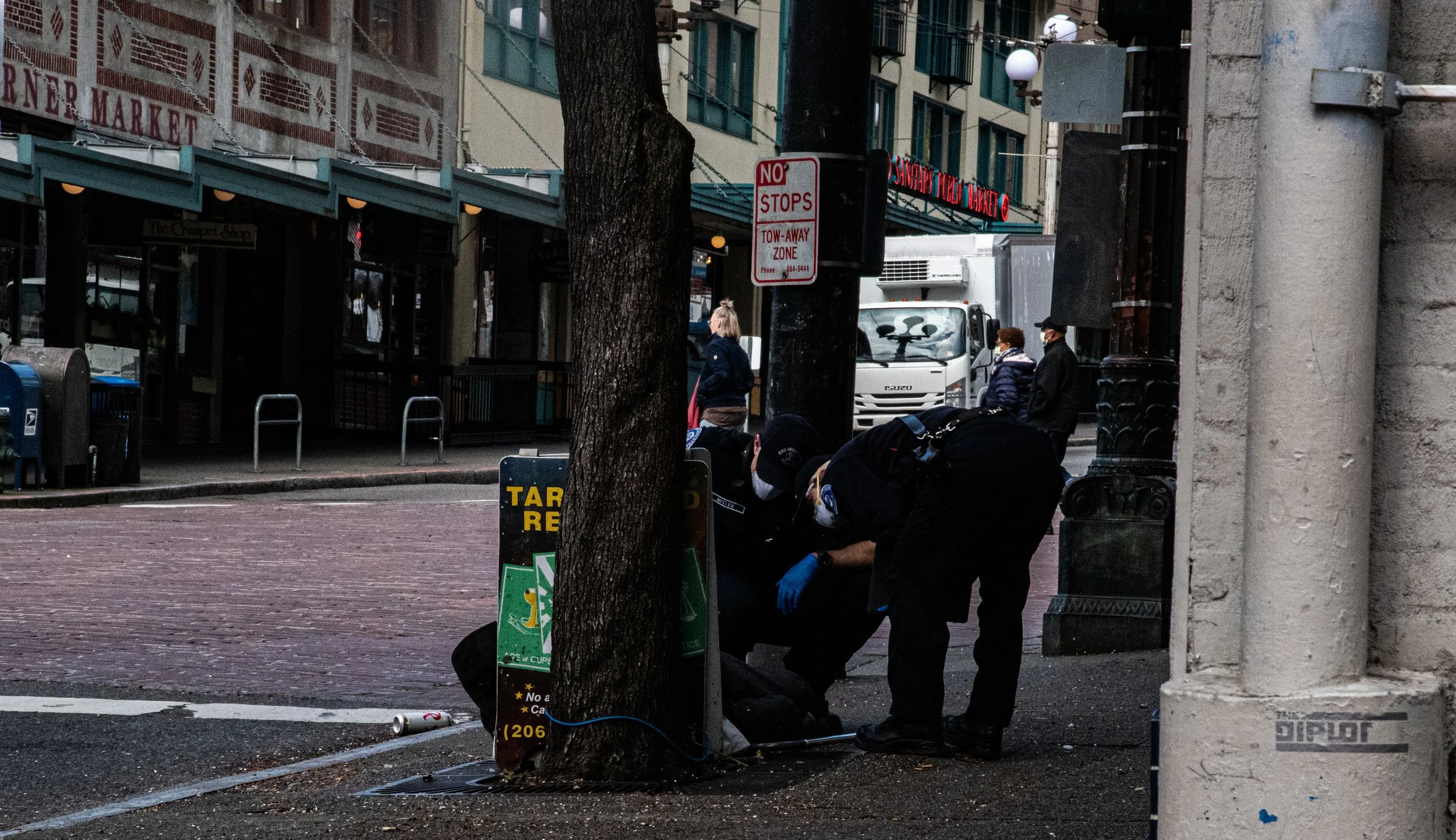 DSC_4176.jpg
