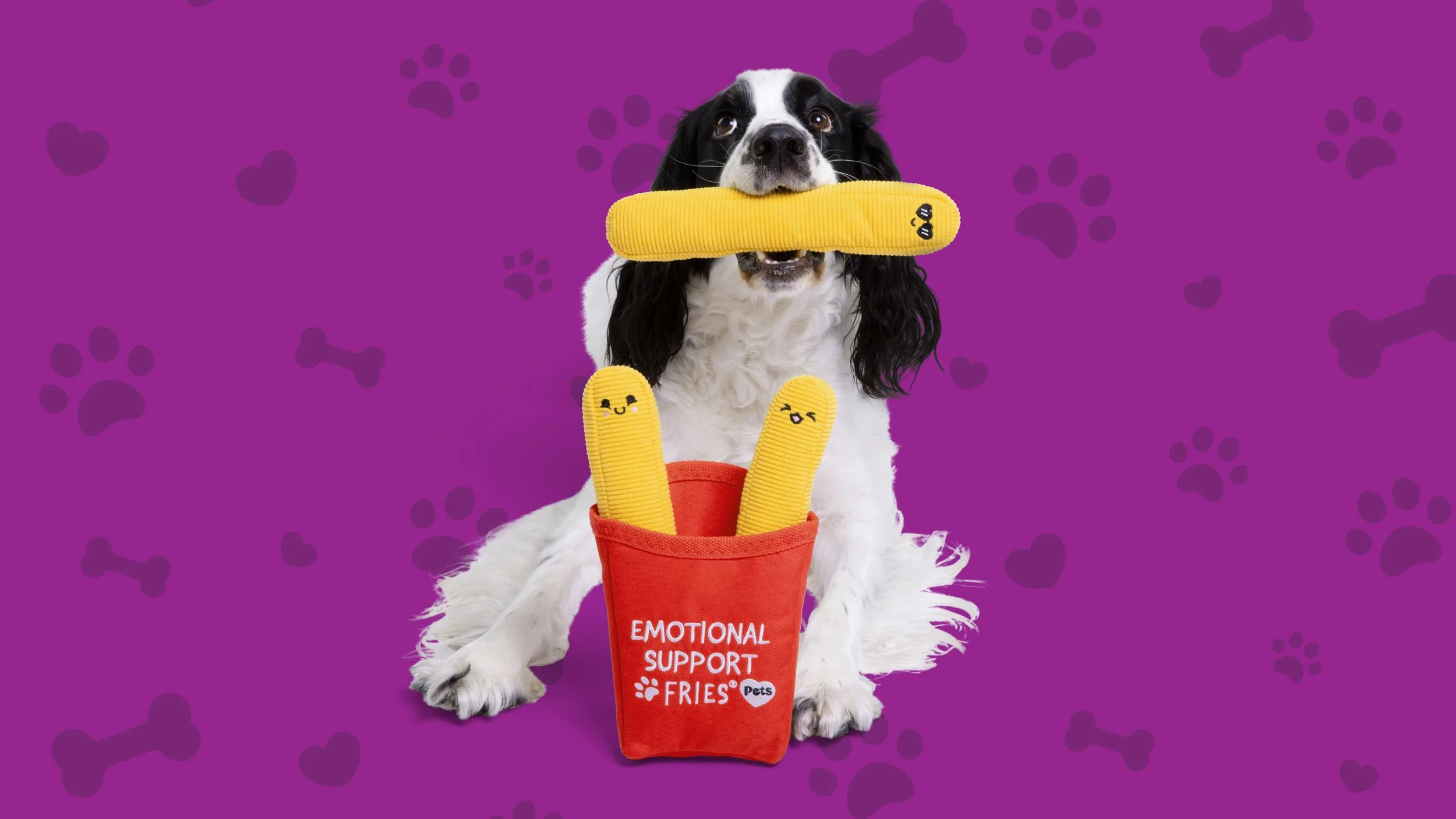 Emotional Support Pets
