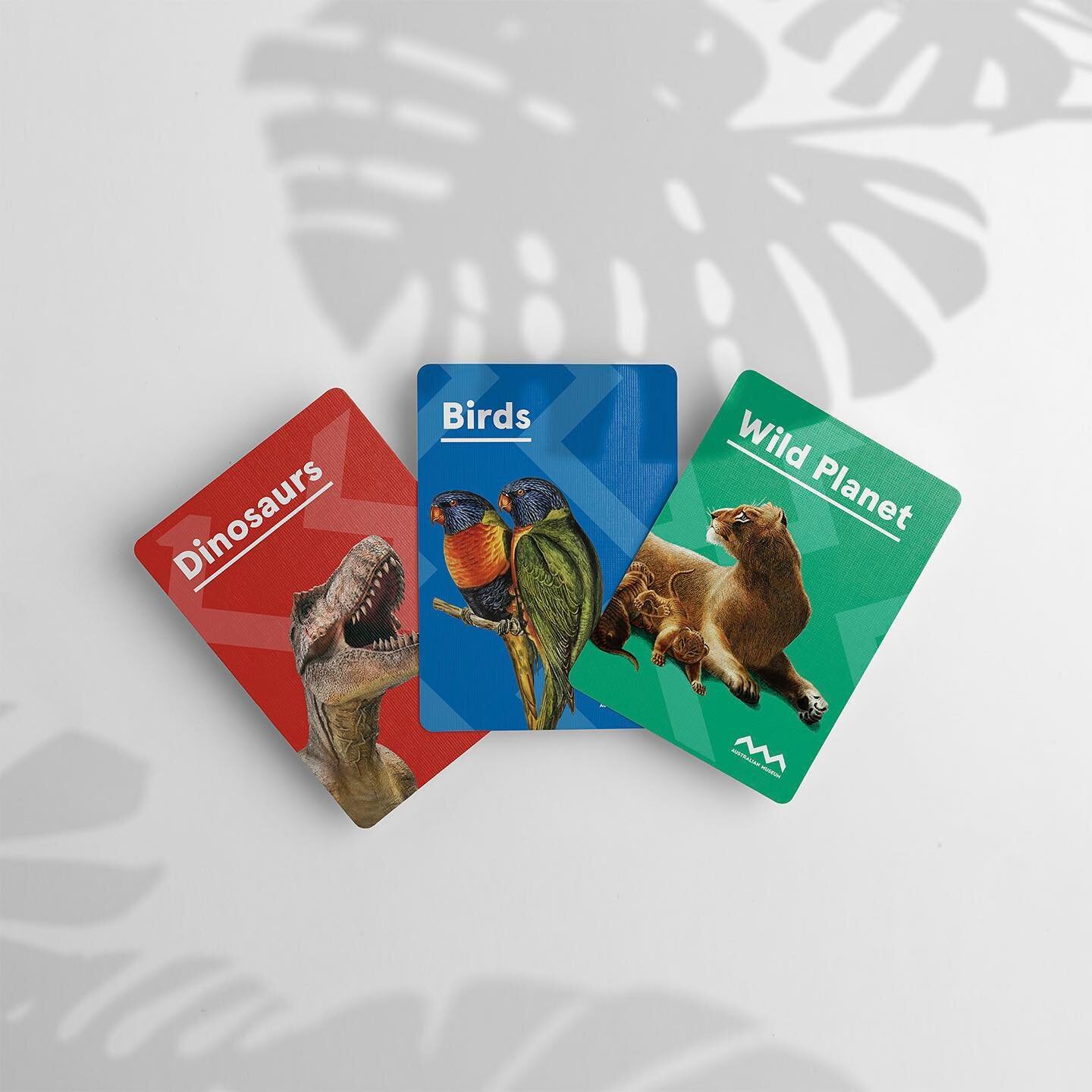 Conversation starter cards developed for the Australian Museum.
The pack of 50+ cards uses a series of thought-provoking prompts to ignite creative dialogue and help young visitors investigate the specimens and objects on display at the Australian Mu