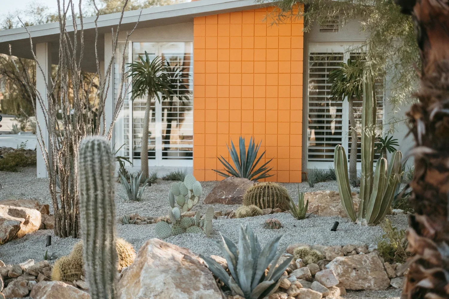 Desert landscape with various cacti, succulents, rocks, and a modern house with an orange accent wall and white window shutters in the background.