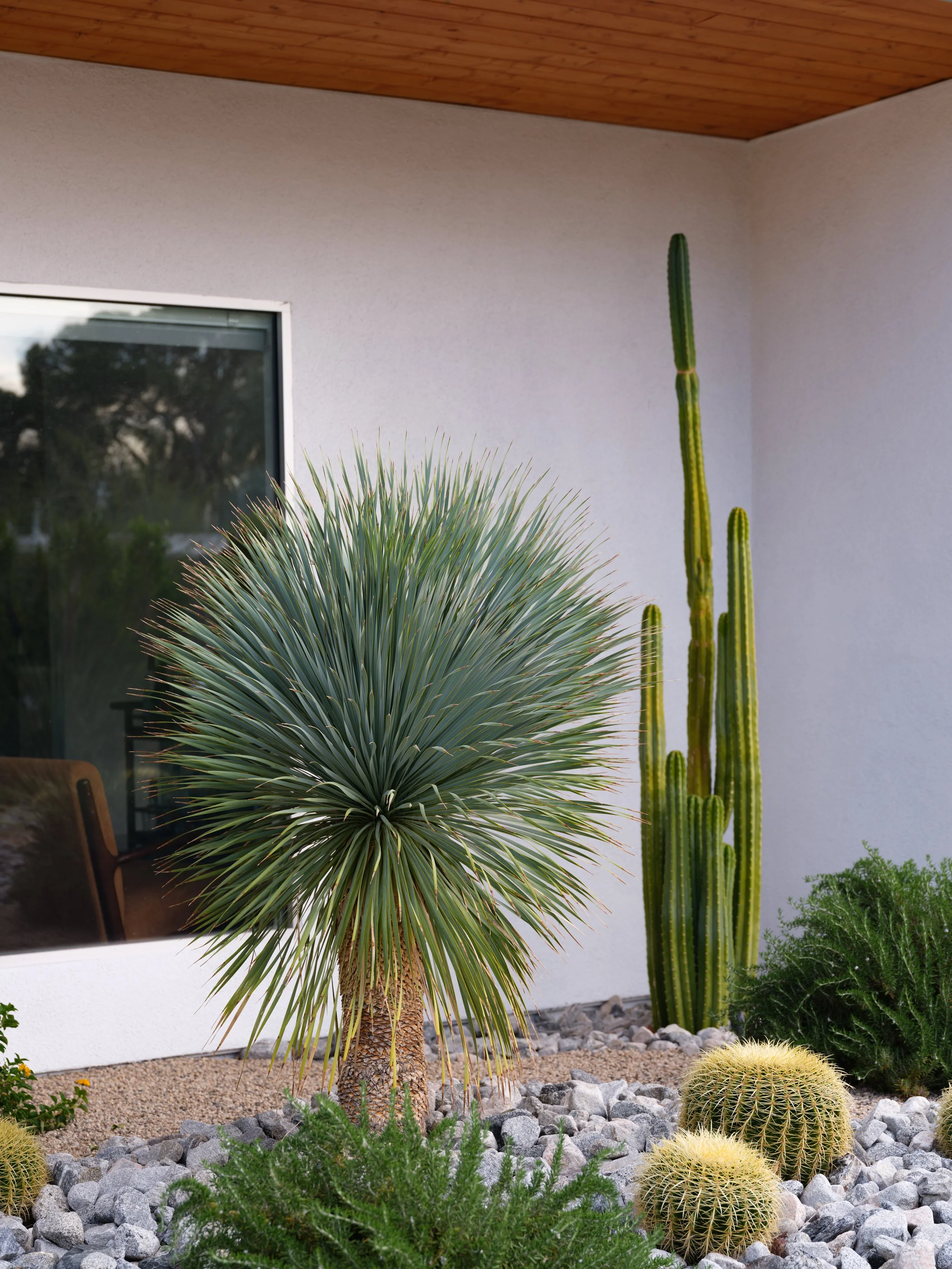 2284 E Desert Palms Dr-11.jpg