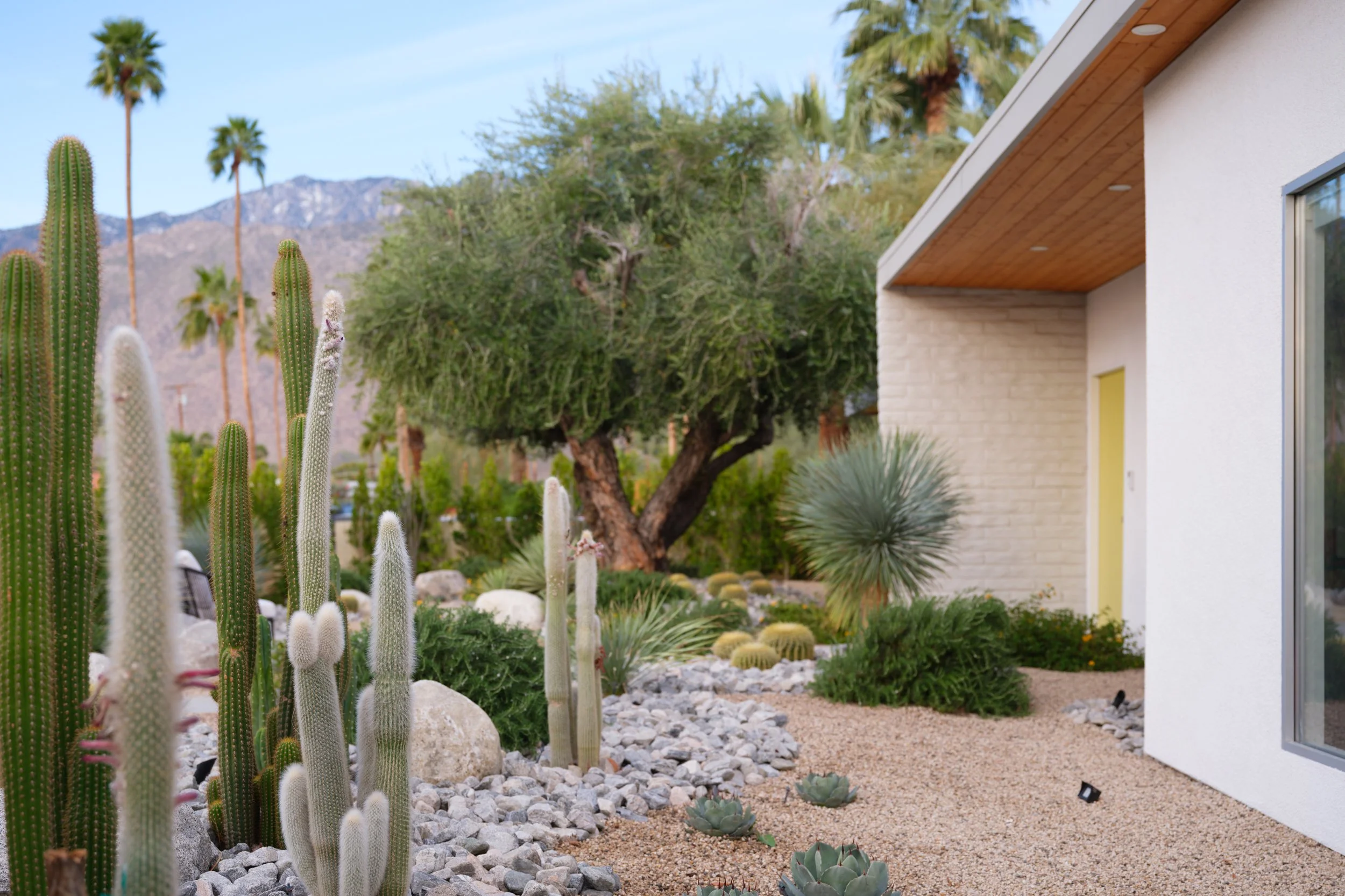 2284 E Desert Palms Dr-8.jpg