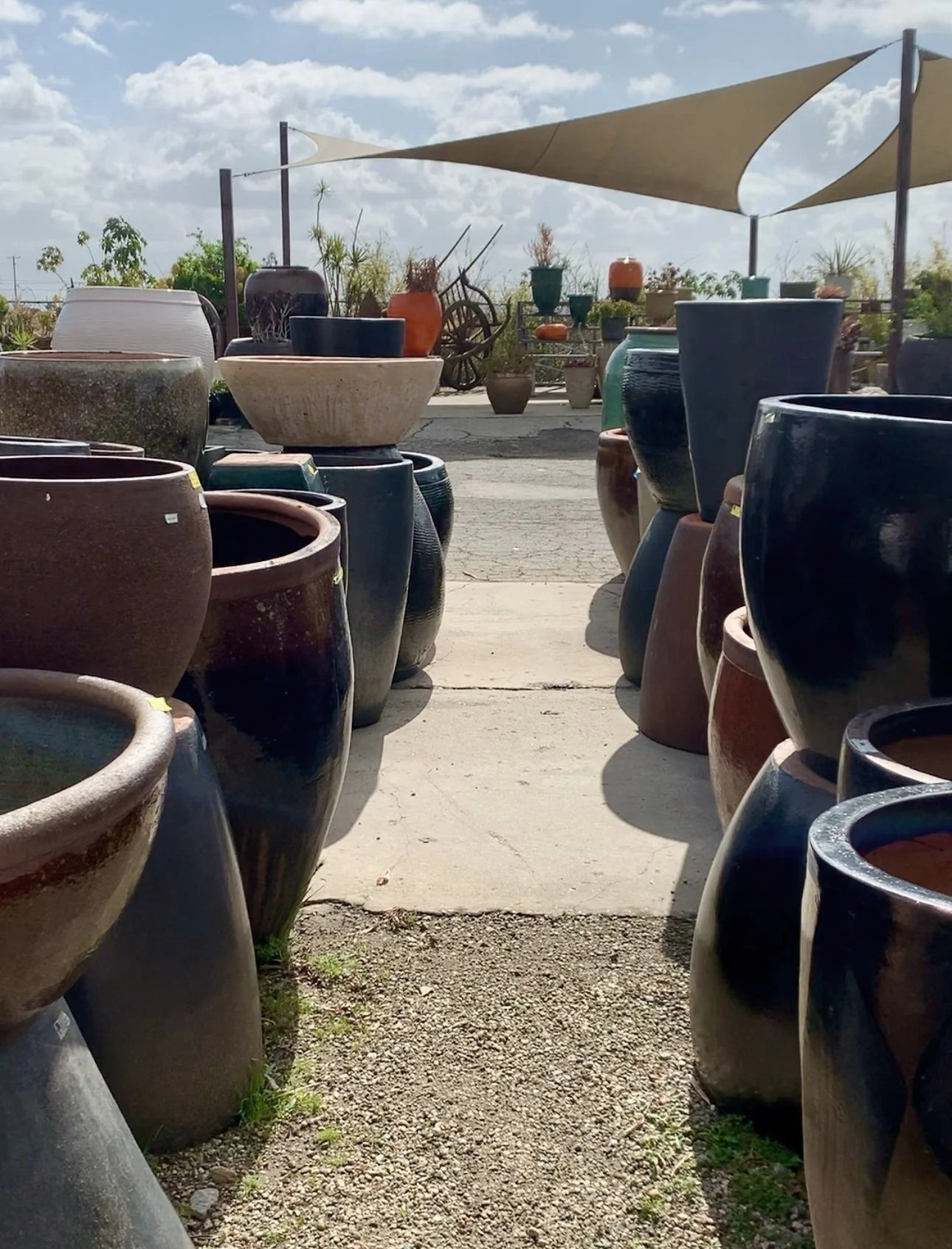 The La Riviera Studios team collaborating with Asian Ceramic, offering modern-inspired pottery with sleek designs and quality craftsmanship for outdoor spaces.