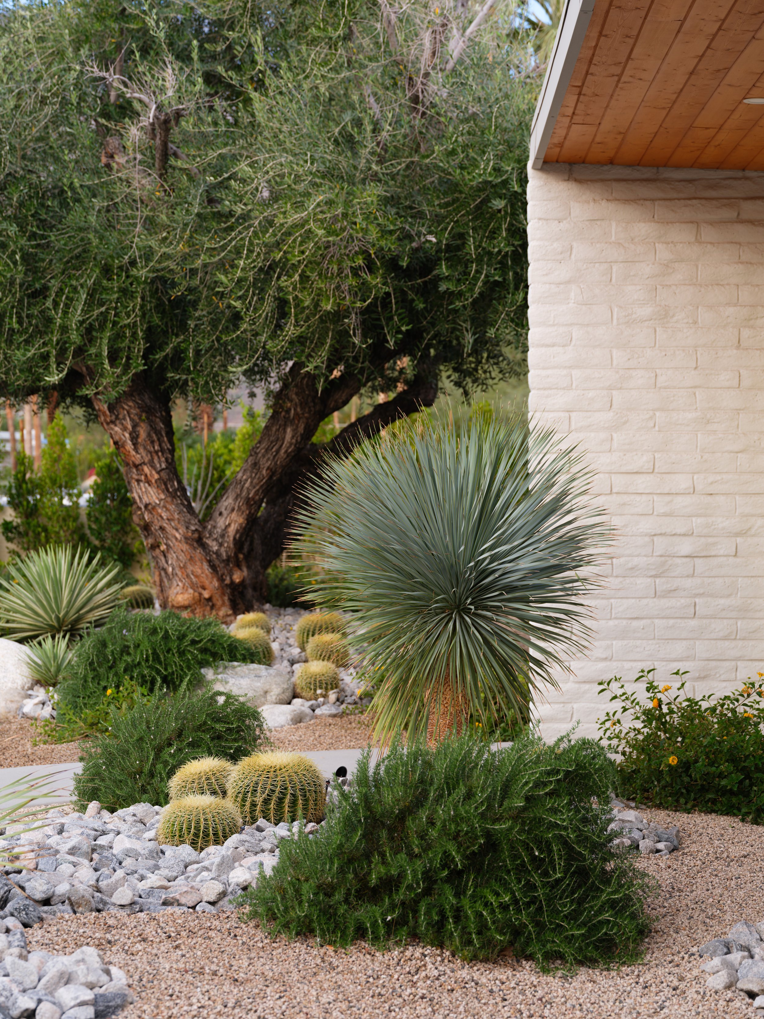 2284 E Desert Palms Dr-10.jpg