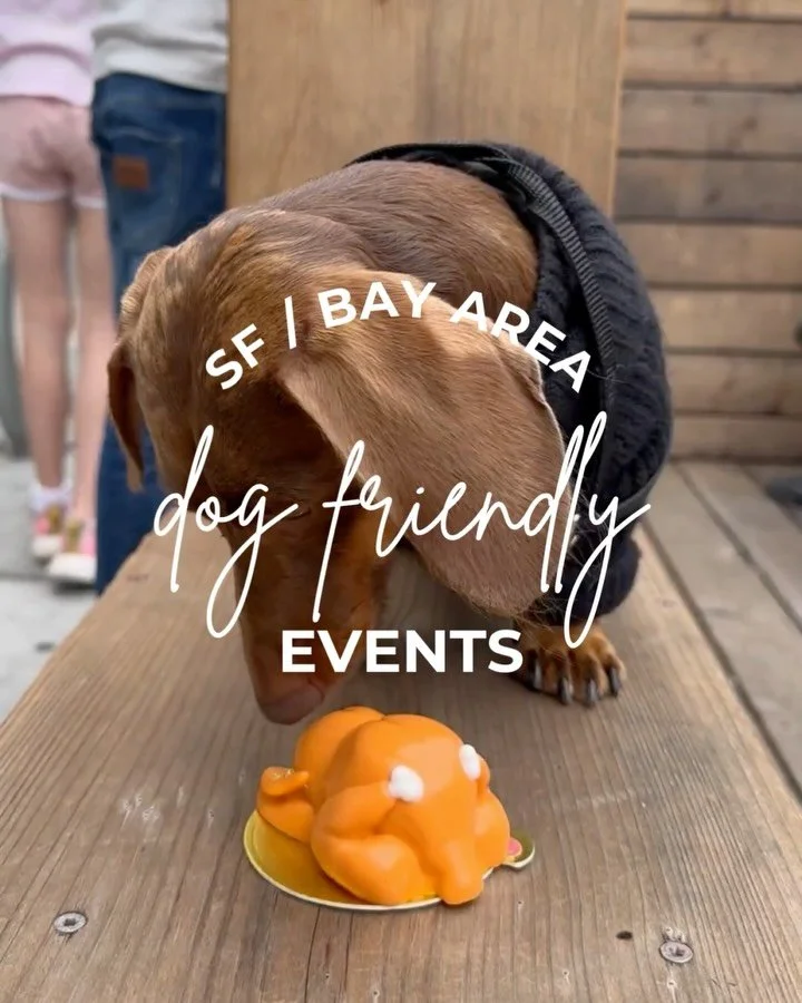 10+ Dog Friendly Events &amp; Meetups in SF Bay Area 🌁🐕&nbsp;Included options for this week &amp; next! SAVE this post for the weekend 🍁

🐾&nbsp;Look for the paw for free events!
💌&nbsp;Did we miss something? DM us the event details and we&rsquo