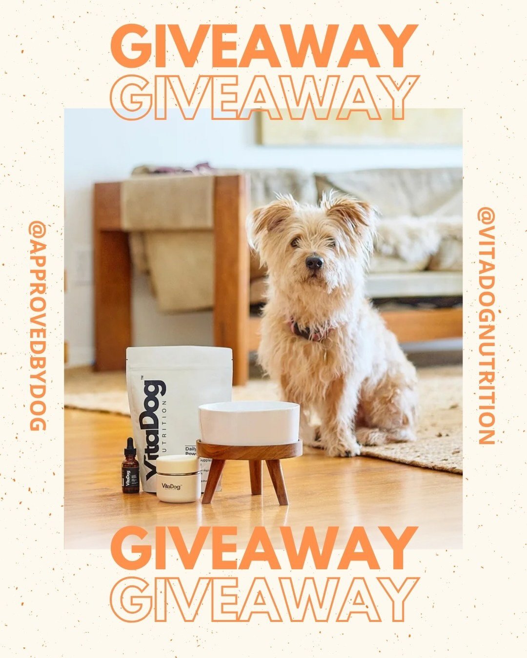 🖤🐶 BLACK FRIDAY GIVEAWAY ✨🖤

To celebrate the season of steals, deals, and spoiling our dogs rotten, we&rsquo;re teaming up with our friends at VitaDog to give away an epic prize pack for your pup!

WINNERS (x3!) WILL RECEIVE &mdash;
🥣 1x VitaDog