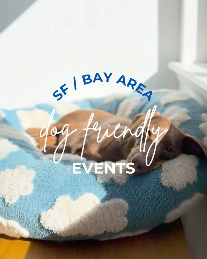 8 Dog Friendly Events &amp; Meetups in SF Bay Area 🌁🐕&nbsp;SAVE this post for the weekend! 

Andddd we&rsquo;re back! Honestly, it&rsquo;s feeling like a crazy start to the year with everything going on, but we&rsquo;re really grateful to be here w