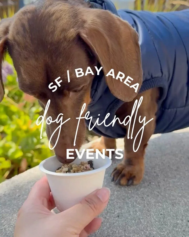 9 Dog Friendly Events &amp; Meetups in SF Bay Area 🌁🐕&nbsp;SAVE this post for the weekend! 

Starting to see lots of Valentines events 😍 Do you have any plans to celebrate this year? 💖

🐾&nbsp;Look for the paw for free events!
💌&nbsp;Did we mis
