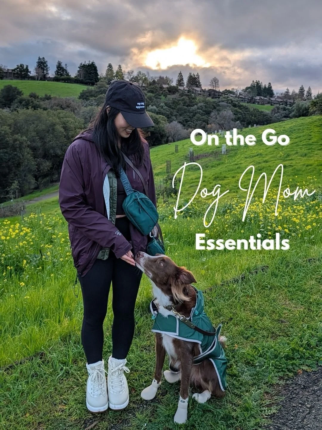 Being an on-the-go dog (and human) mom can be a whole sport in itself 🏃&zwj;♀️😮&zwj;💨&nbsp;Luckily these products help keep my sanity (and my outfit) intact 🤪&nbsp;What are your go-to dog mom essentials? COMMENT below and let us know!

DOG MOM ES