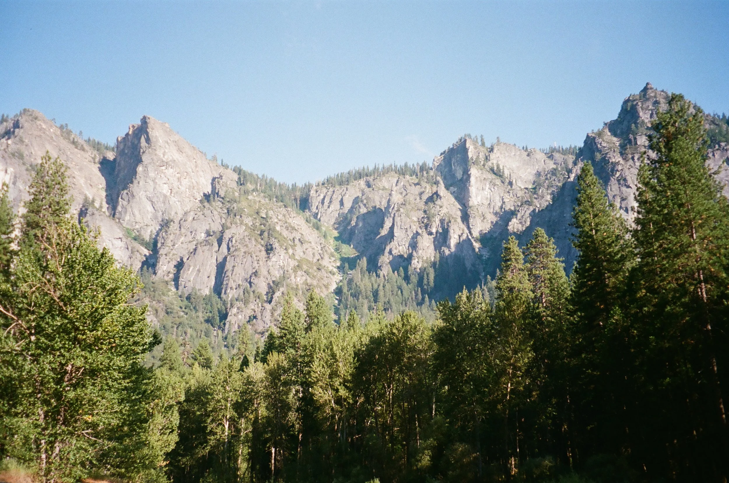 IMG_4118 2.JPG