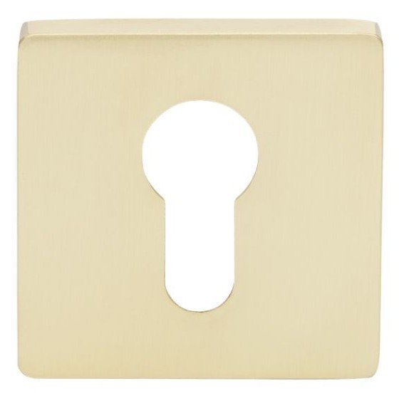 Astron Square Euro Escutcheon – Satin Brass.jpeg