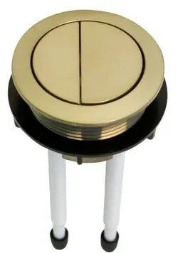 Round Toilet Flush Button - Gold1.jpeg