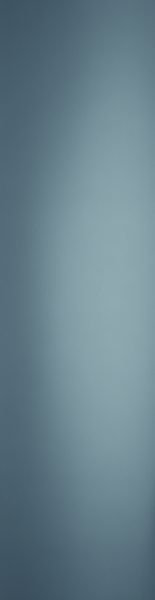 Grey-Tint.jpeg