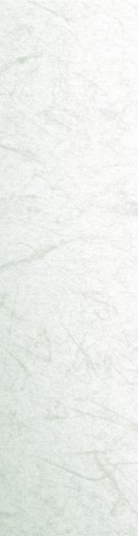 Rice Paper.jpeg