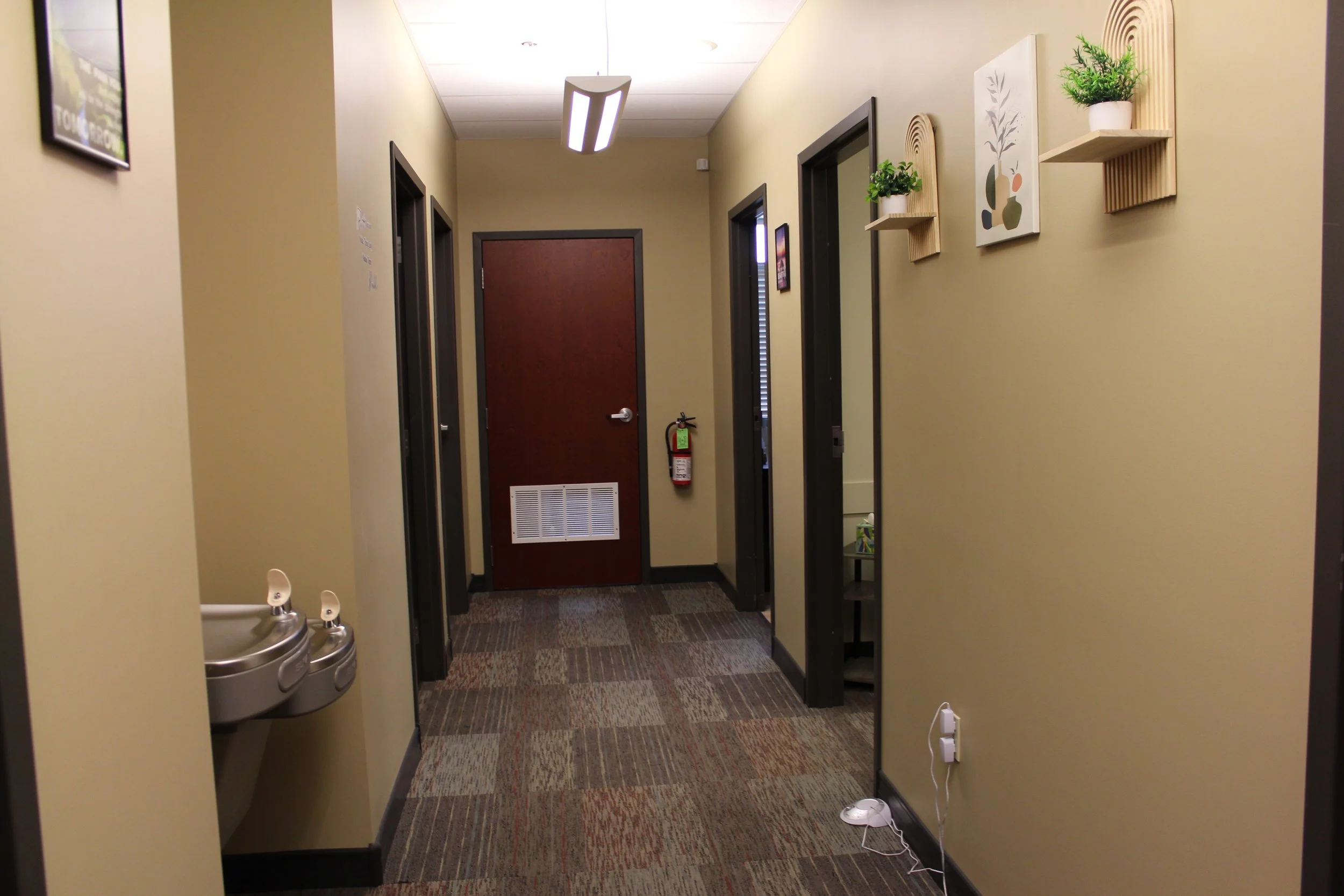 Beige hallway with plant on hanging shelf