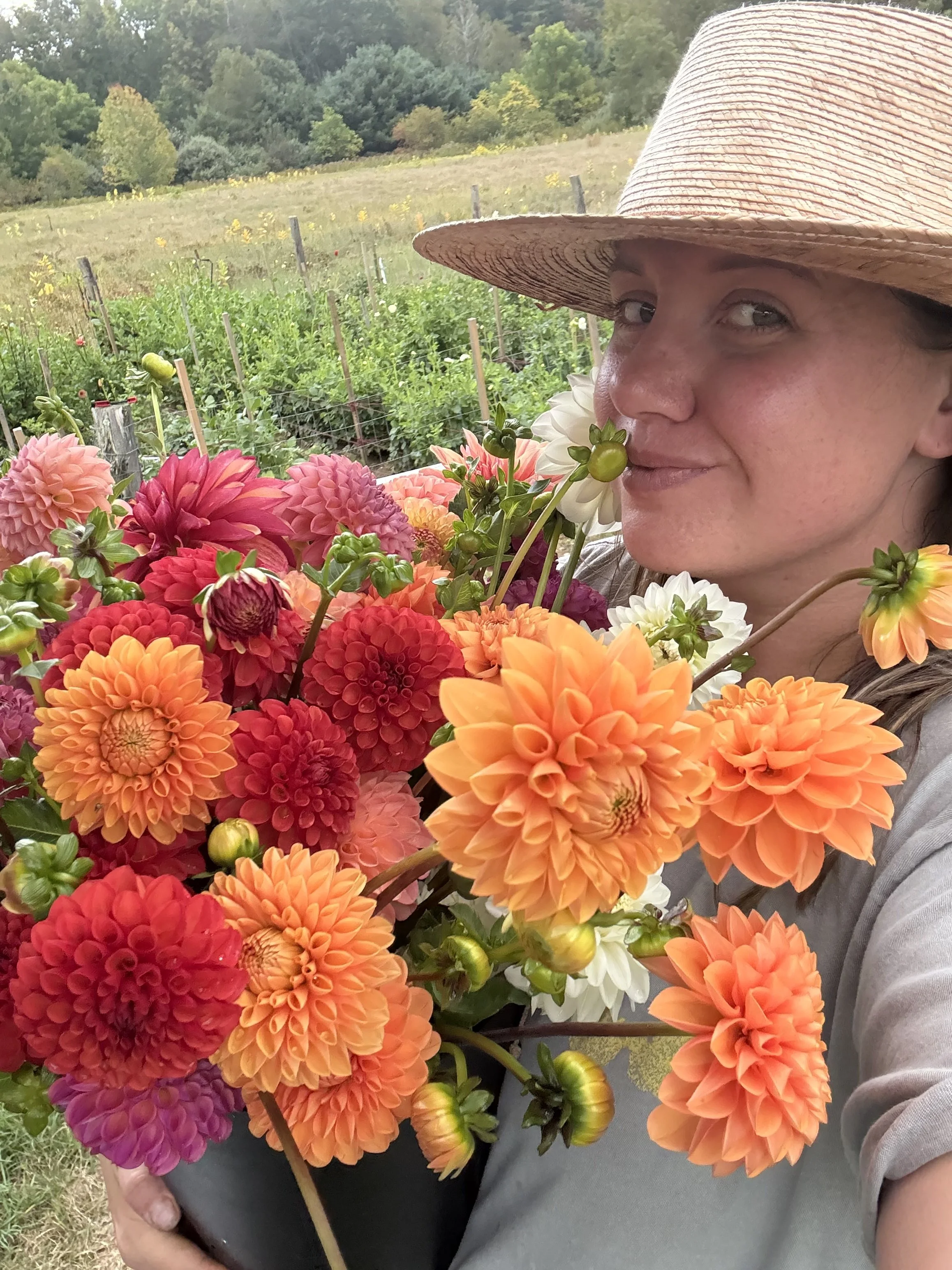 seacoast NH flower farm