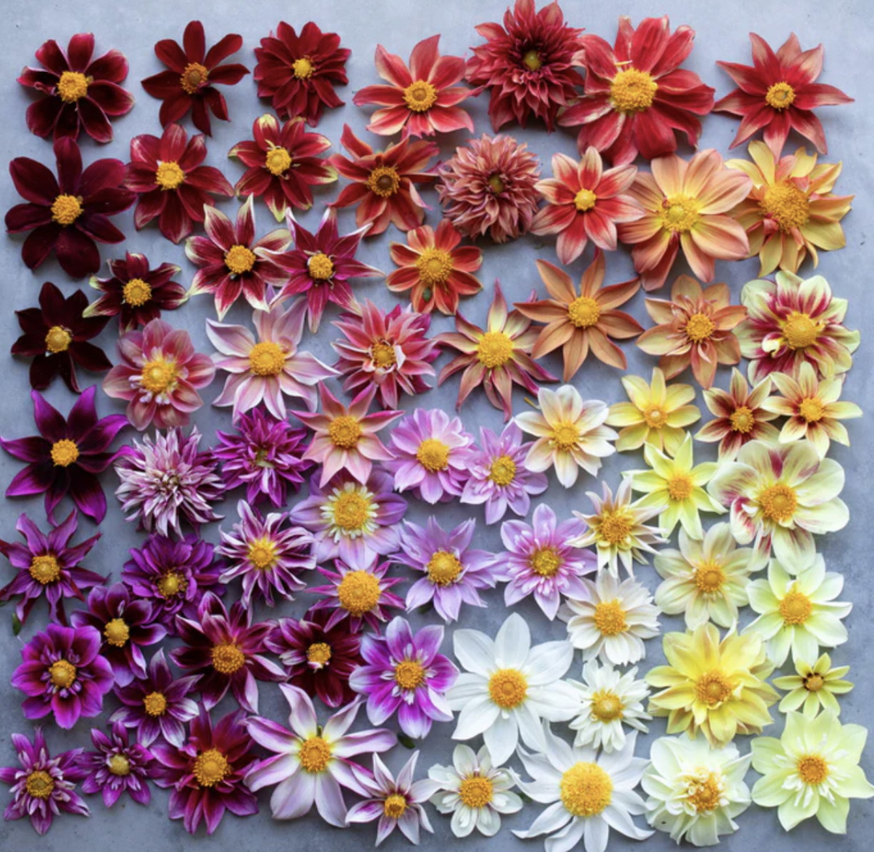 Screenshot 2026-02-02 at 10.05.13 PM.png