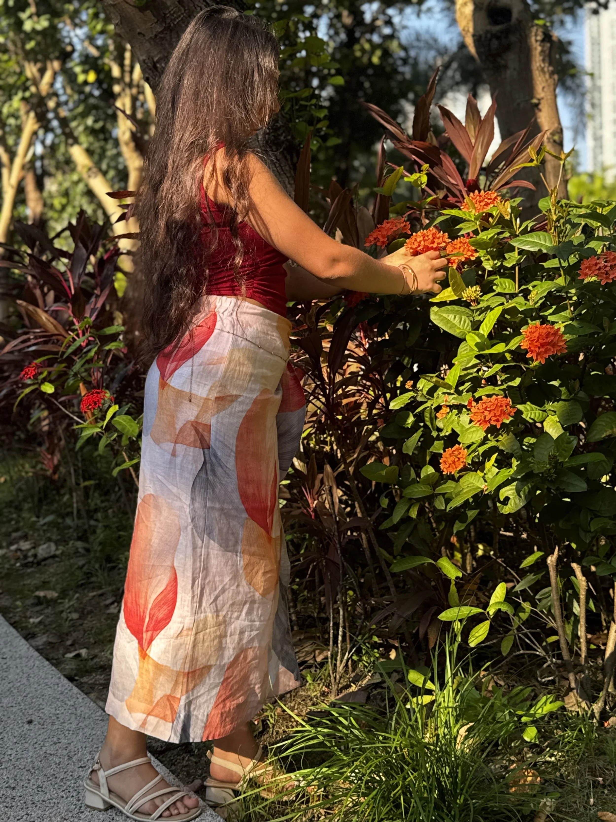 IMG_6243.jpeg