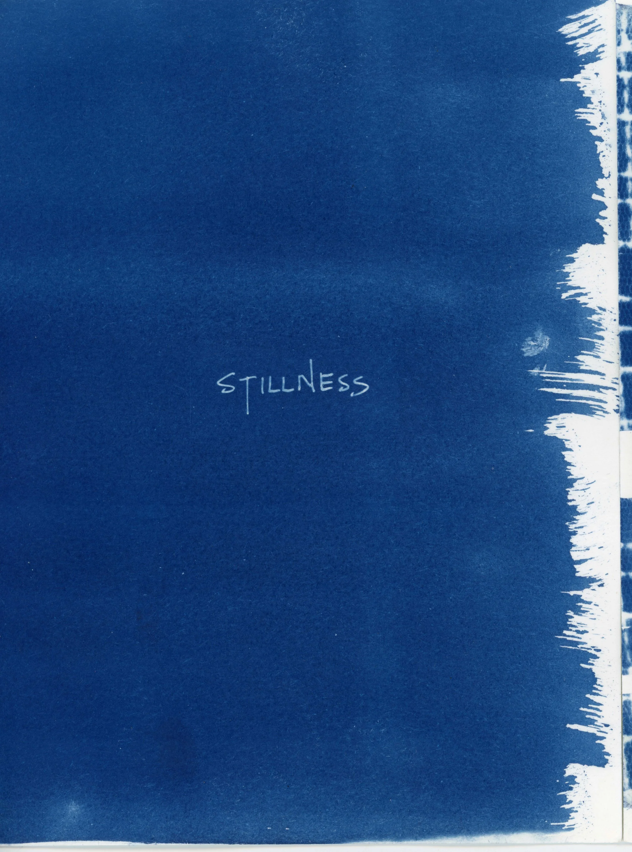 SITB cyanotype04-5.jpg